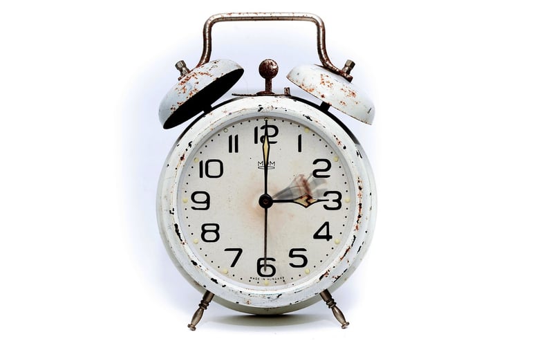 Time-Travel Safaris
